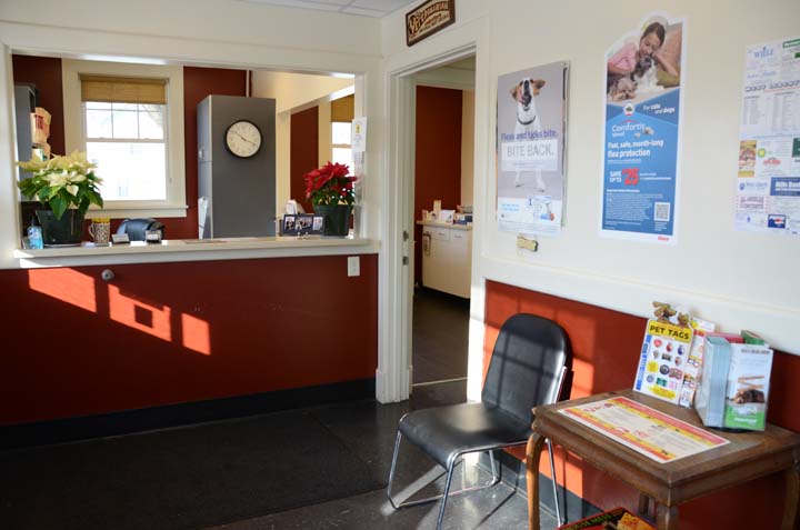 Veterinary Clinic receives 753 calls from Google listing enhanced by OPTIMA™ program.
